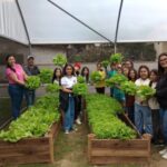 horta_comunitaria_caicara_1a