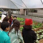 horta_comunitaria_caicara_2a