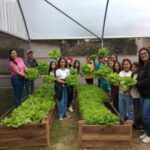 horta_comunitaria_caicara_4a