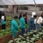 horta_comunitaria_caicara_5a