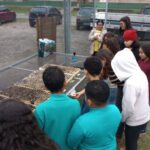 horta_comunitaria_caicara_6a