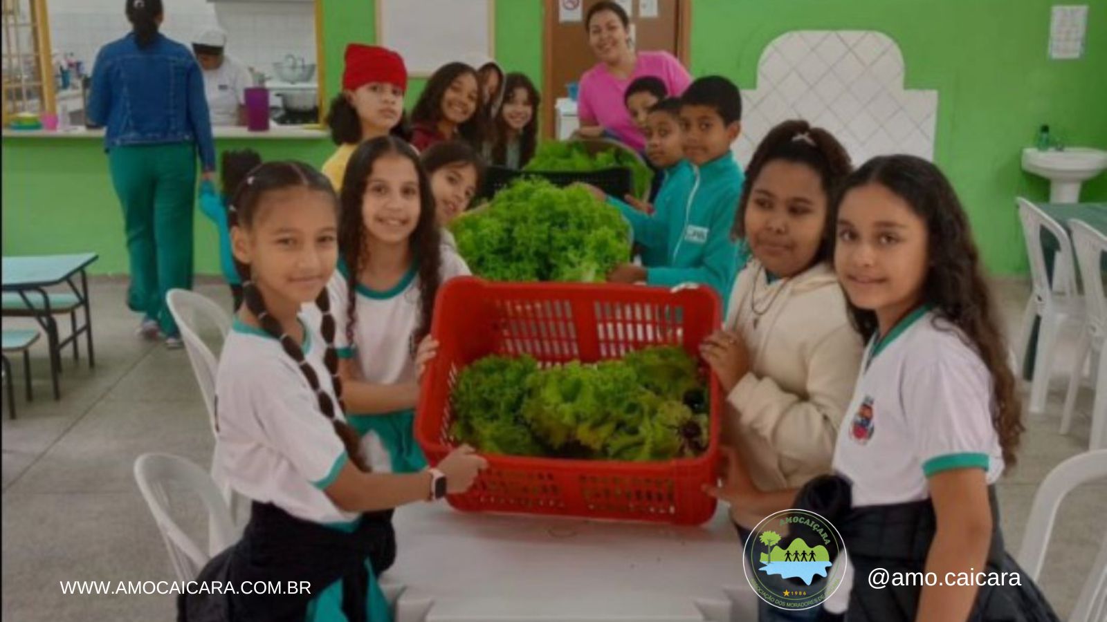 Horta Comunitária AMOCAIÇARA